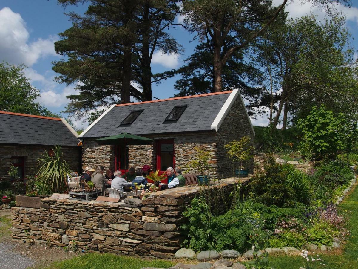 Ballycommane House & Garden Durrus Dış mekan fotoğraf