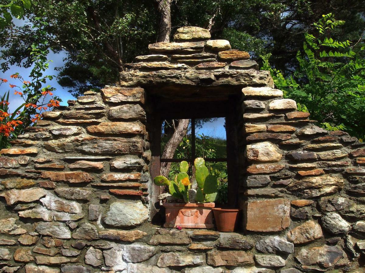 Ballycommane House & Garden Durrus Dış mekan fotoğraf
